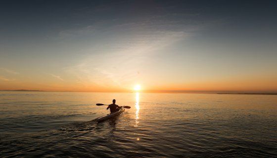 Bioluminiscencia: Kayak bajo las estrellas 